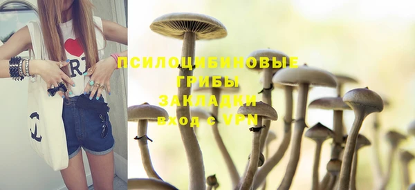 дурь Армянск
