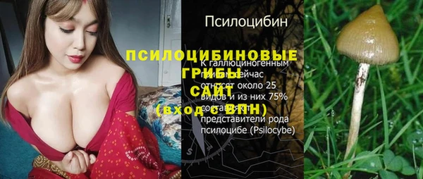 дурь Армянск